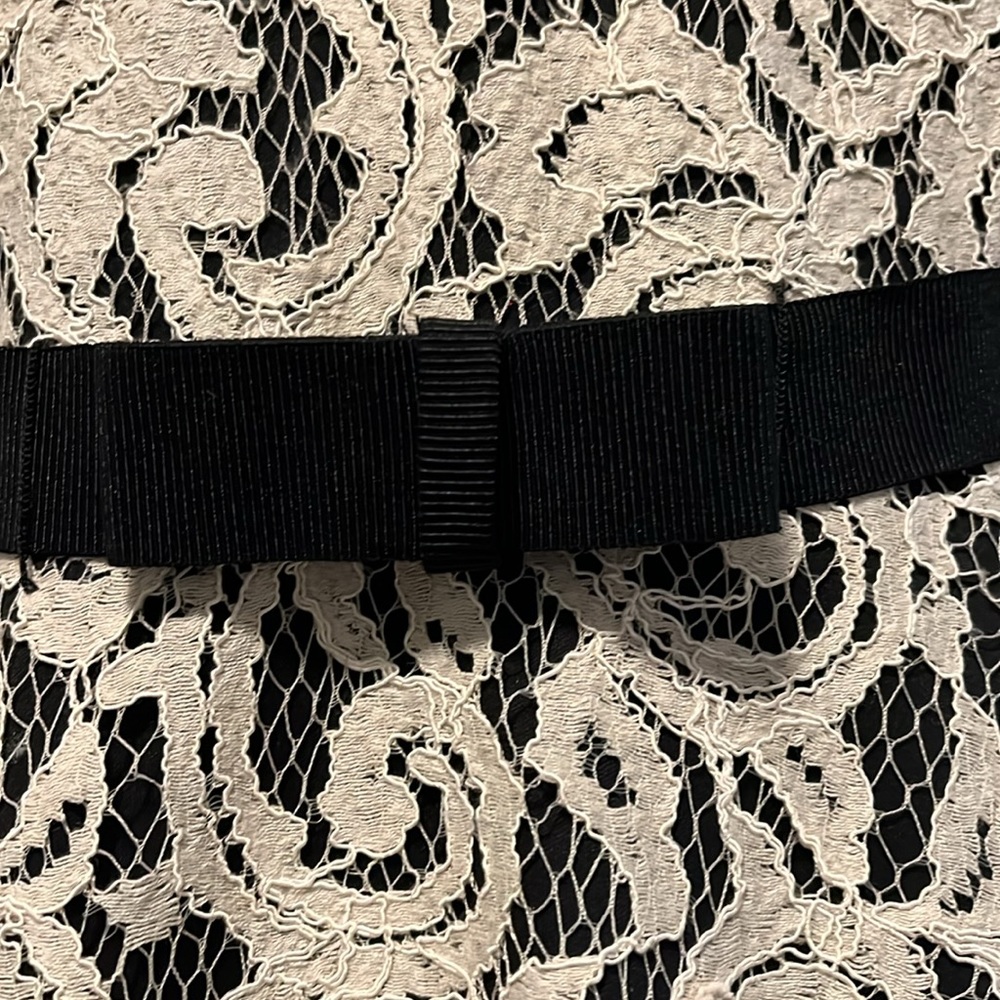 Tadashi Shoji Chantilly Lace Gown - Picture 6 of 15